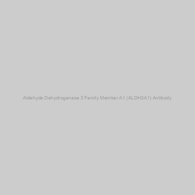 Abbexa - Aldehyde Dehydrogenase 3 Family Member A1 (ALDH3A1) Antibody